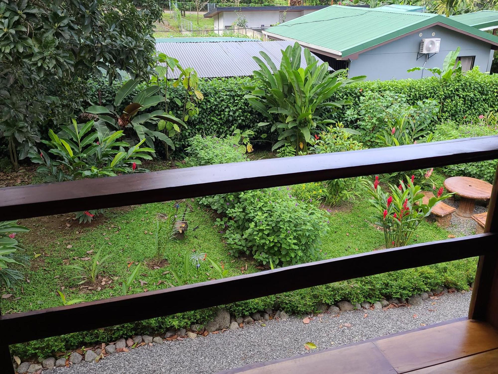 Arenal Sweet Cabins La Fortuna Esterno foto